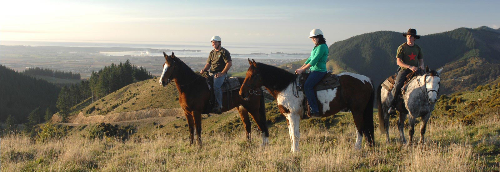 Horse Trekking Abel Tasman