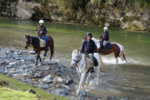 Horse Riding