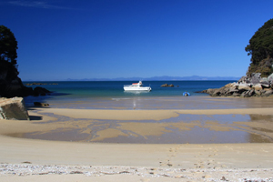 Abel Tasman National Park - Private Charter Boat cruising