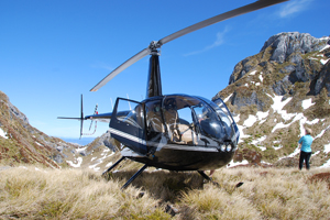 Heli Tours - scenic