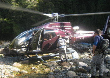 helicopter fishing nz