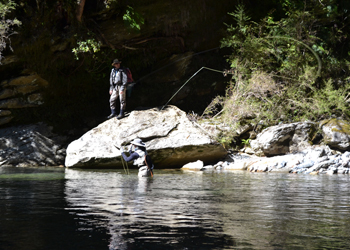 new zealand fly fishing adventures